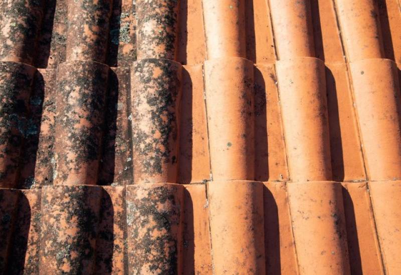 Entreprise pour le nettoyage de toiture proche de Rouen 76