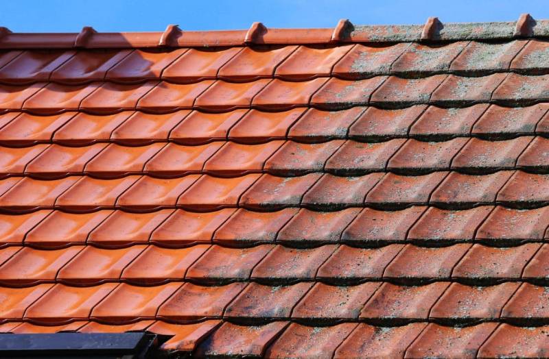 Où trouver un artisan spécialisé en démoussage de toiture proche de Barentin 76 ?