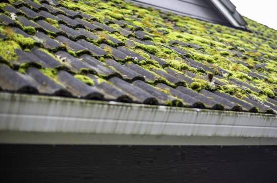 Faire nettoyer une toiture de maison par un professionnel près de Dieppe 76