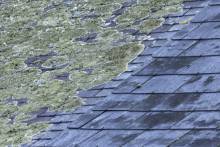 Nos prestations sur le secteur de Yvetot 76190 en Normandie